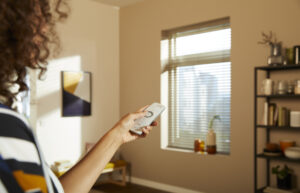 motorised blinds